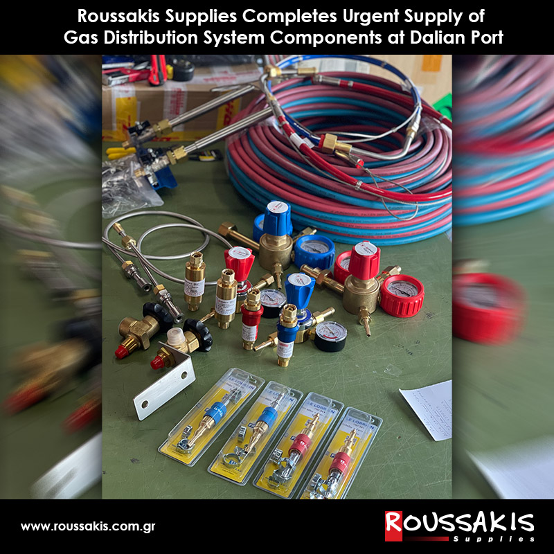 Roussakis Supplies Completes Urgent Supply of Gas Distribution System Components at Dalian Port