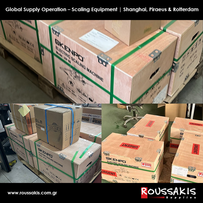 Global Supply Operation – Scaling Equipment | Shanghai, Piraeus & Rotterdam